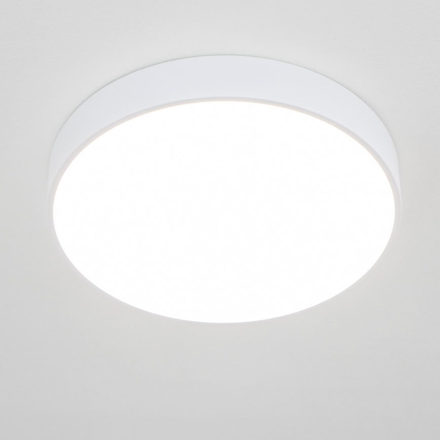 BRILAGI - LED vonios lubinis šviestuvas POOL LED/36W/230V 3000/4000/5500K Ø 40 cm IP54 baltas
