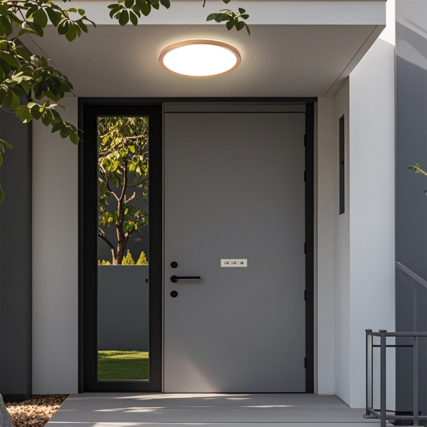 Brilagi - LED vonios kambario lubinis šviestuvas ULTRA SLIM LED/24W/230V Ø 42 cm rožinio aukso IP54