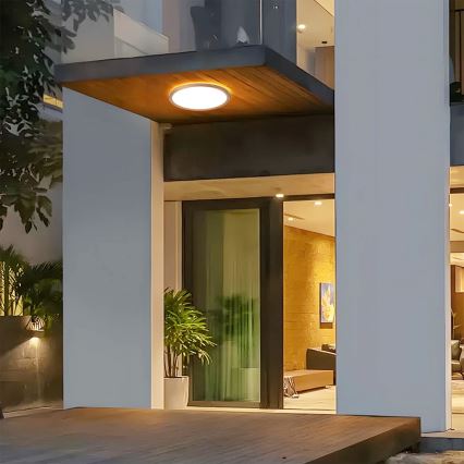 Brilagi - LED vonios kambario lubinis šviestuvas ULTRA SLIM LED/24W/230V Ø 42 cm rožinio aukso IP54