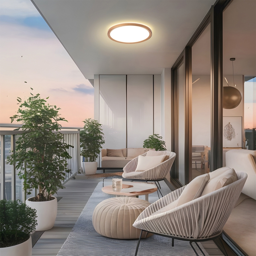 Brilagi - LED vonios kambario lubinis šviestuvas ULTRA SLIM LED/24W/230V Ø 42 cm rožinio aukso IP54