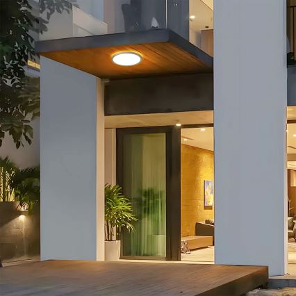 Brilagi - LED vonios kambario lubinis šviestuvas ULTRA SLIM LED/12W/230V skersmuo 22,5 cm auksinis IP54