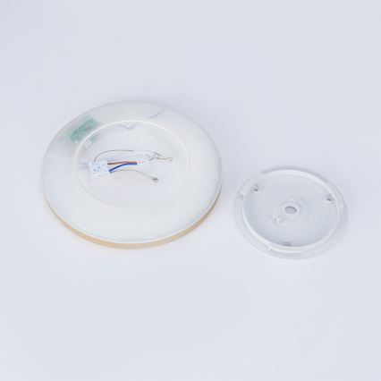 Brilagi - LED vonios kambario lubinis šviestuvas ULTRA SLIM LED/12W/230V skersmuo 22,5 cm auksinis IP54