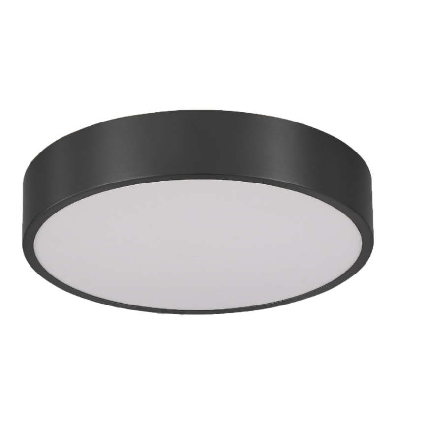 Brilagi - LED vonios lubinis šviestuvas POOL LED/24W/230V 3000/4000/5500K Ø 30 cm IP54 juoda