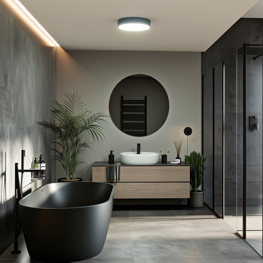 BRILAGI - LED vonios lubinis šviestuvas POOL LED/24W/230V 3000/4000/5500K Ø 30 cm IP54 juoda