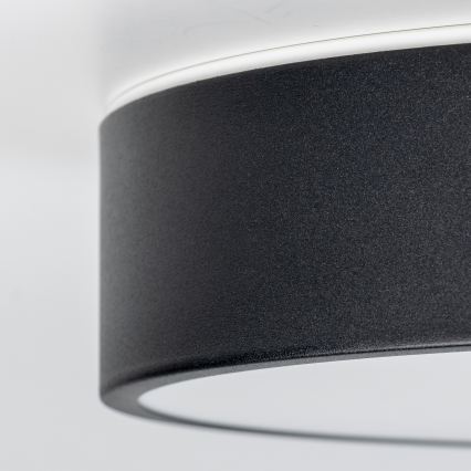 BRILAGI - LED vonios lubinis šviestuvas POOL LED/24W/230V 3000/4000/5500K Ø 30 cm IP54 juoda