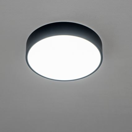 BRILAGI - LED vonios lubinis šviestuvas POOL LED/24W/230V 3000/4000/5500K Ø 30 cm IP54 juoda