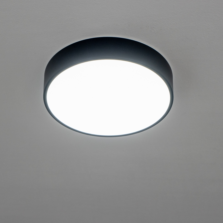BRILAGI - LED vonios lubinis šviestuvas POOL LED/24W/230V 3000/4000/5500K Ø 30 cm IP54 juoda