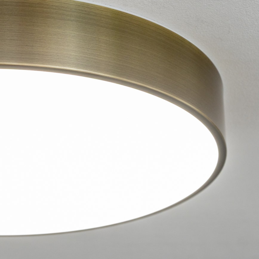 BRILAGI - LED vonios kambario lubinis šviestuvas POOL LED/36W/230V 3000/4000/5500K skersmuo 40 cm IP54 žalvaris