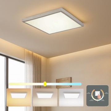 Brilagi - LED vonios lubų šviestuvas FRAME LED/50W/230V 3000/4000/6000K 60x60 cm IP44 sidabrinis