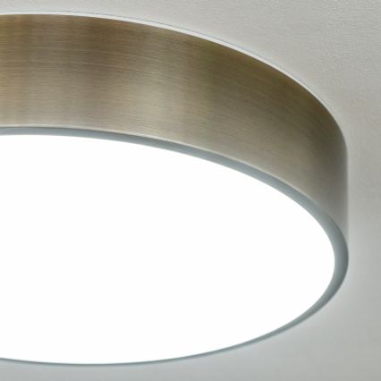 BRILAGI - LED vonios lubų šviestuvas POOL LED/24W/230V 3000/4000/5500K skersmuo 30 cm IP54 žalvaris