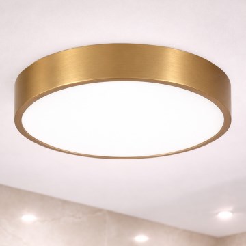 Brilagi - LED vonios lubų šviestuvas POOL LED/36W/230V 3000/4000/5500K skersmuo 40 cm IP54 bronzinis