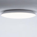 Brilagi - LED vonios lubų šviestuvas VESTAS LED/18W/230V 4000K IP54