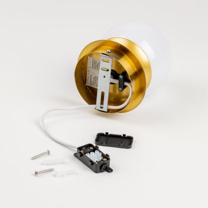 Brilagi - LED vonios sieninis šviestuvas BALL LED/6W/230V 3000/4000/6500K IP44 aukso spalvos