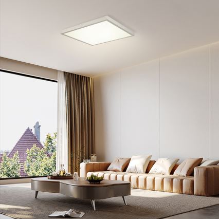 Brilagi - LED vonios lubų šviestuvas FRAME LED/50W/230V 3000/4000/6000K 60x60 cm IP44 sidabrinis