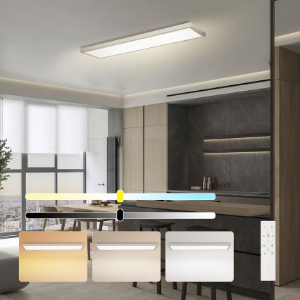 Brilagi - LED dimeriuojamas vonios kambario lubų šviestuvas FRAME SMART LED/50W/230V 120x30 cm 3000-6000K IP44 sidabrinis + nuotolinis valdymas