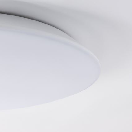 Brilagi - VESTAS LED vonios kambario lubų šviestuvas su jutikliu, 18 W, 230 V, Ø 28 cm, 4000 K, IP54
