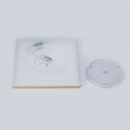 Brilagi - LED vonios kambario lubinis šviestuvas ULTRA SLIM LED/18W/230V 30x30 cm auksinė IP54