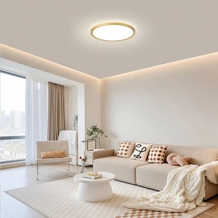 Brilagi - vonios kambario lubinis LED šviestuvas ULTRA SLIM LED/18W/230V, skersmuo 30 cm, auksinis, IP54