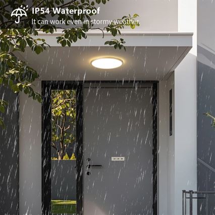 Brilagi - vonios kambario lubinis LED šviestuvas ULTRA SLIM LED/18W/230V, skersmuo 30 cm, auksinis, IP54