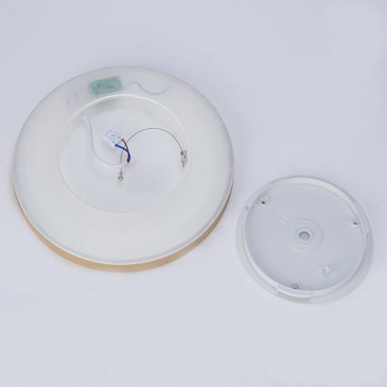 Brilagi - vonios kambario lubinis LED šviestuvas ULTRA SLIM LED/18W/230V, skersmuo 30 cm, auksinis, IP54