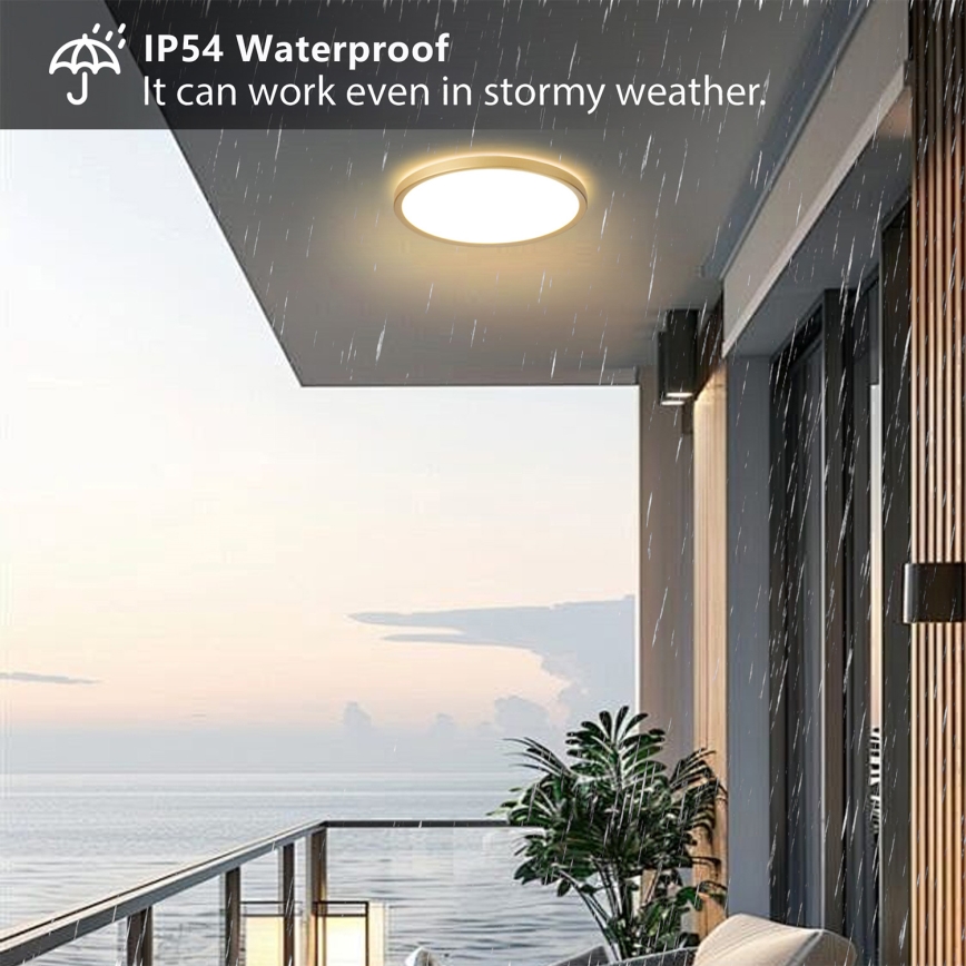 Brilagi - ULTRA SLIM LED vonios kambario lubinis šviestuvas, 24 W, 230 V, Ø 42 cm, auksinis, IP54