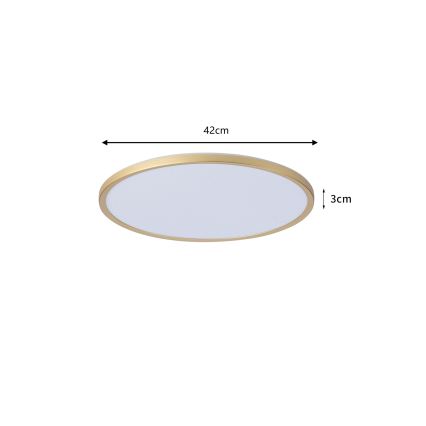 Brilagi - ULTRA SLIM LED vonios kambario lubinis šviestuvas, 24 W, 230 V, Ø 42 cm, auksinis, IP54