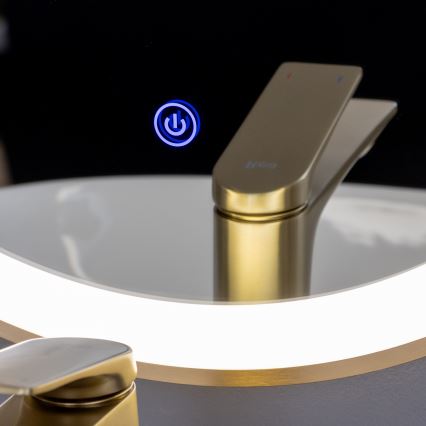 Brilagi - LED vonios veidrodis ERBA LED/25W/230V 50x80 cm auksinis IP44 CRI 90 dimeriuojamas + CCT