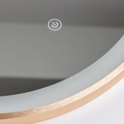 Brilagi - LED vonios veidrodis ERBA LED/25W/230V 50x80 cm auksinis IP44 CRI 90 dimeriuojamas + CCT