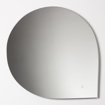 Brilagi - LED vonios veidrodis RICADI LED/19W/230V 60x60 cm IP44 CRI 90 dimeriuojamas + CCT