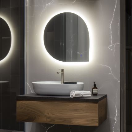 Brilagi - LED vonios veidrodis RICADI LED/19W/230V 60x60 cm IP44 CRI 90 dimeriuojamas + CCT