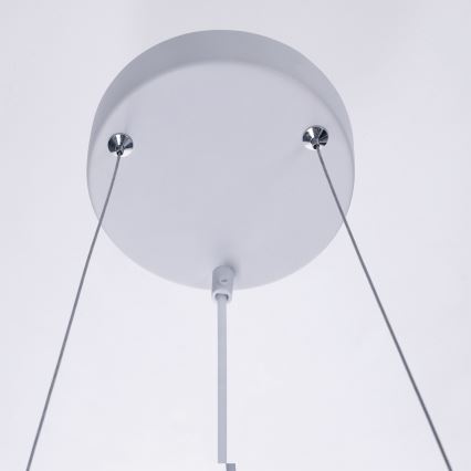 BRILAGI - Liustra ant laido SELE 6xGU10/30W/230V balta