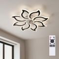 Brilagi - lubinis LED ventiliatorius su reguliuojama šviesa, LED/44W/230V, 3000–6500K, Ø 90 cm, juodas + nuotolinis valdymas