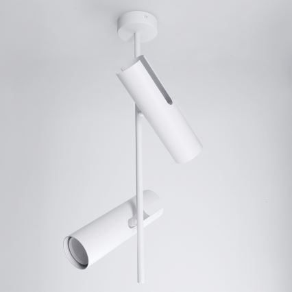 Brilagi - Lubinis šviestuvas ant strypo BRANCH 2xGU10/30W/230V baltas