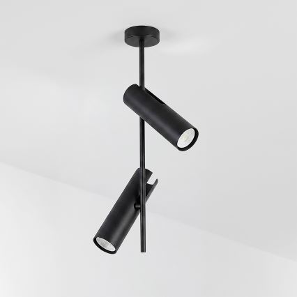 Brilagi - Lubinis šviestuvas ant strypo BRANCH 2xGU10/30W/230V juodas