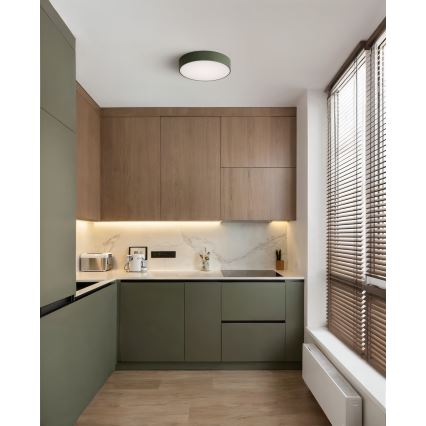 Brilagi - Lubinis šviestuvas CLARE 2xE27/24W/230V skersmuo 30 cm chaki