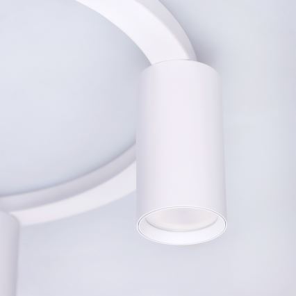 BRILAGI - Lubinis šviestuvas SELE 4xGU10/30W/230V balta
