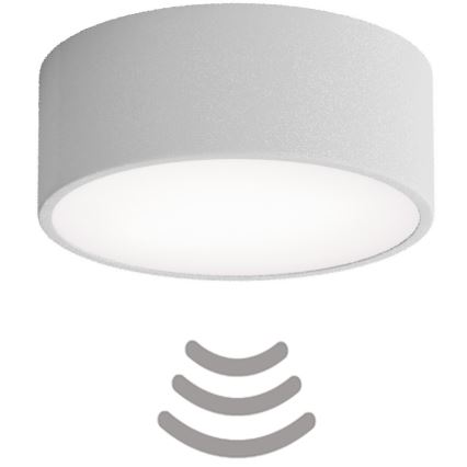 Brilagi - Lubinis šviestuvas su jutikliu CLARE 1xE27/24W/230V diametras 20 cm pilka
