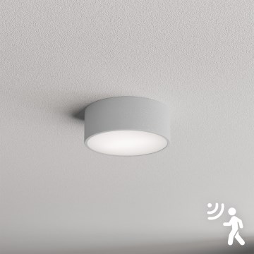 Brilagi - Lubinis šviestuvas su jutikliu CLARE 1xE27/40W/230V diametras 20 cm pilka