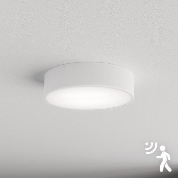 Brilagi - Lubinis šviestuvas su jutikliu CLARE 2xE27/40W/230V diametras 30 cm balta