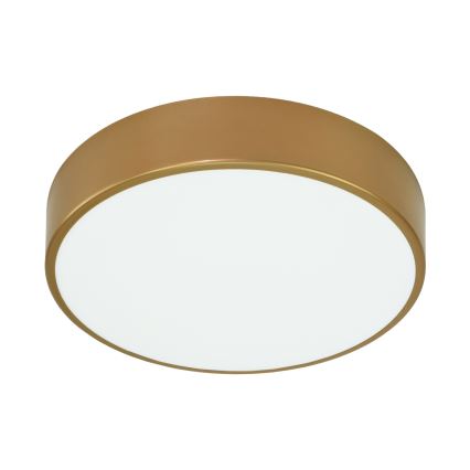 Brilagi - Lubinis šviestuvas su jutikliu CLARE 3xE27/24W/230V diametras 40 cm auksas