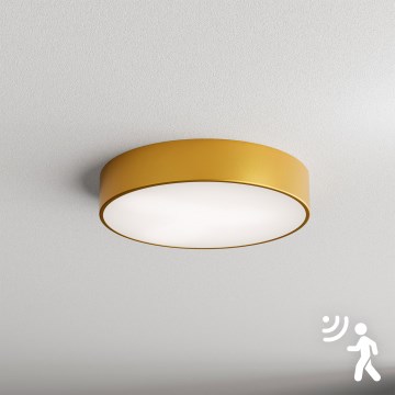 Brilagi - Lubinis šviestuvas su jutikliu CLARE 3xE27/40W/230V diametras 40 cm auksas