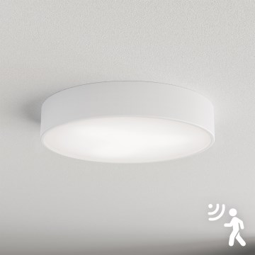 Brilagi - Lubinis šviestuvas su jutikliu CLARE 3xE27/40W/230V diametras 40 cm balta