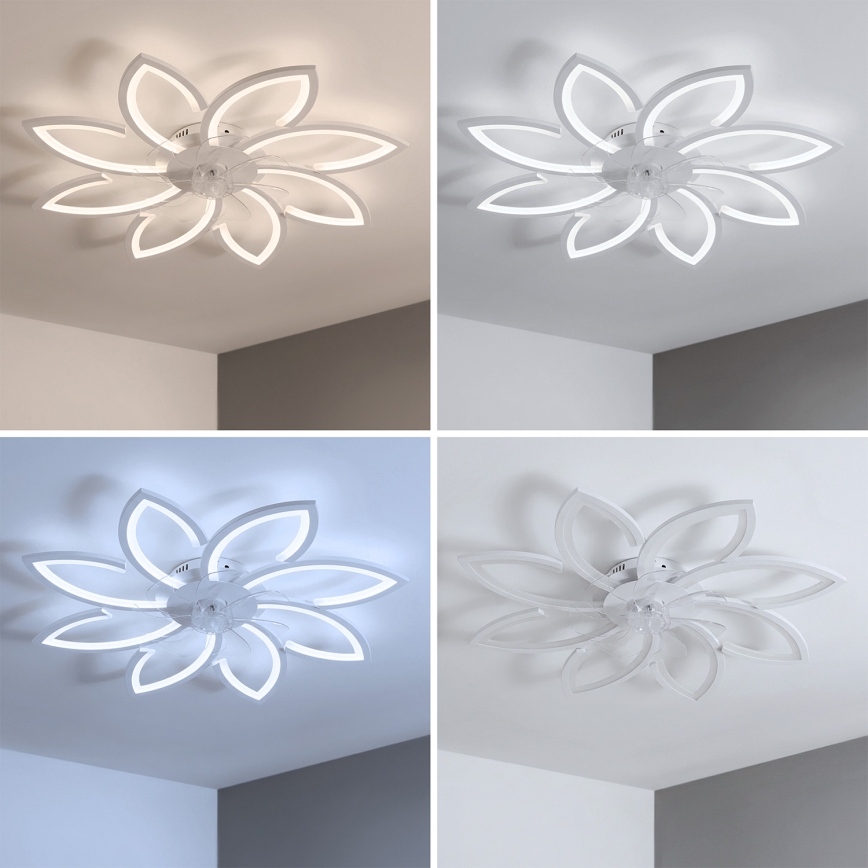 Brilagi - Dimeriuojamas LED lubų ventiliatorius LED/43W/230V 3000-6500K skersmuo 90 cm baltas + nuotolinio valdymo pultas