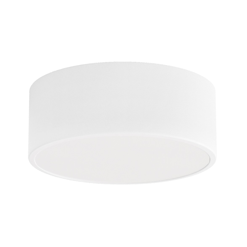 Brilagi - Lubinis vonios šviestuvas CLARE 1xE27/24W/230V diametras 20 cm IP54 balta