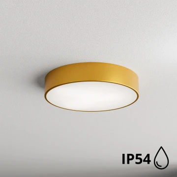 Brilagi - Lubinis vonios šviestuvas CLARE 2xE27/24W/230V diametras 40 cm IP54 auksas