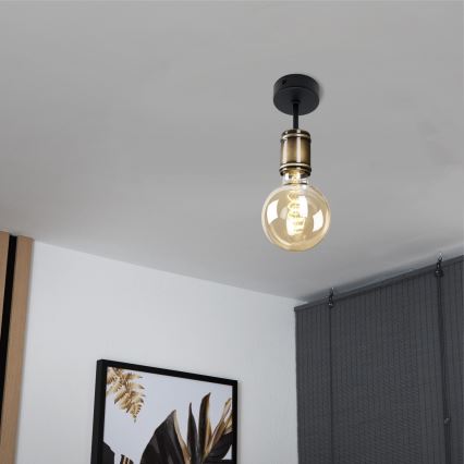 Brilagi - Lubų šviestuvas OMBORO 1xE27/60W/230V