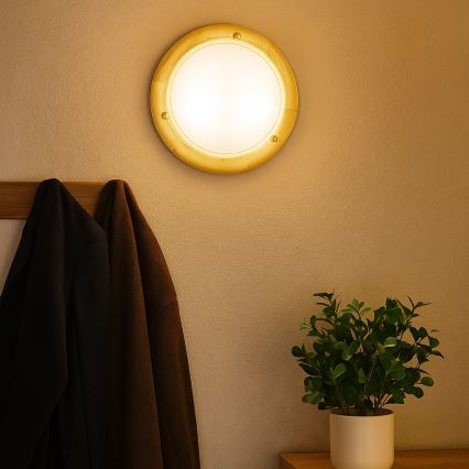 Brilagi - Lubų šviestuvas ORBIS 1xE27/60W/230V skersmuo 30 cm pušis