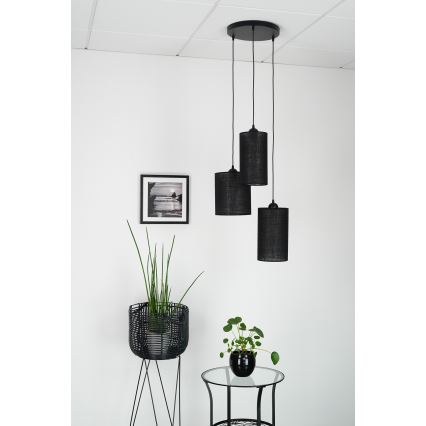 Brilagi - Lubų šviestuvas ant laido TUBES 3xE27/15W/230V juodas