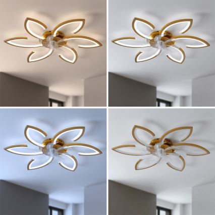 Brilagi - dimeriuojamas LED lubinis ventiliatorius LED/34W/230V 3000-6500K skersmuo 78 cm auksinis + nuotolinis valdymas
