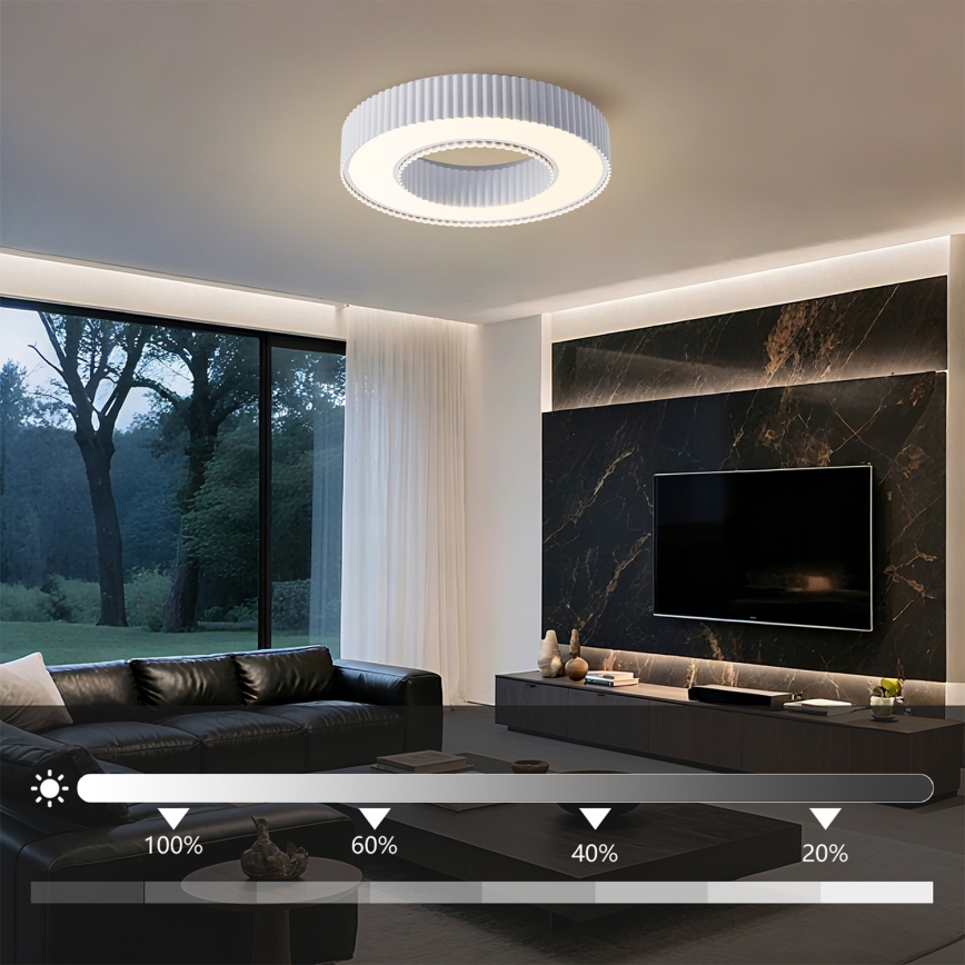 Brilagi - Dimeriuojamas LED lubų šviestuvas LUMIX LED/48W/230V 3000-6000K baltas, skersmuo 50 cm + nuotolinis valdymas